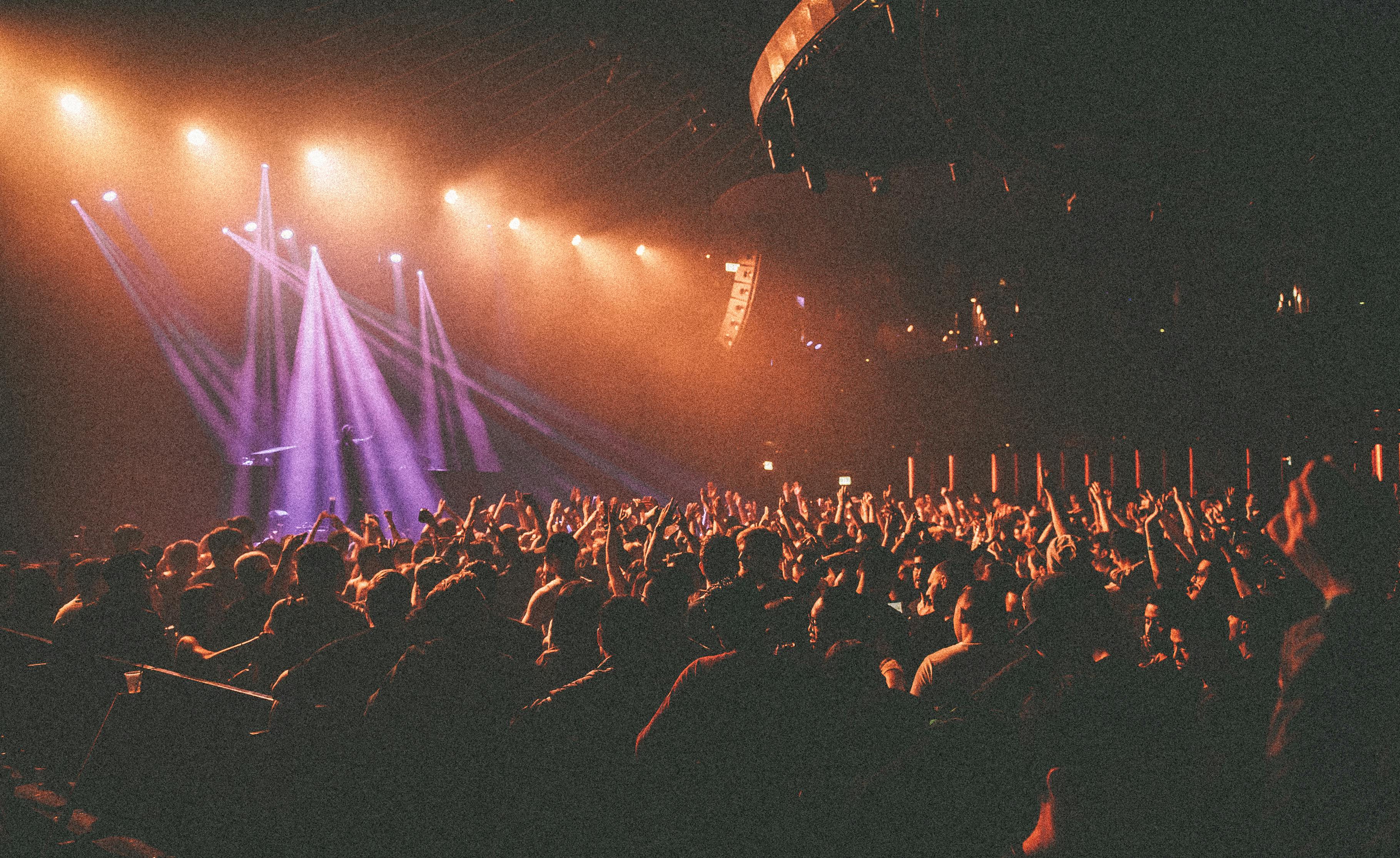 Concert Experience